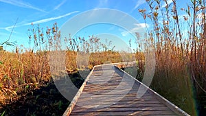 Wooden path in a bird observatory, in the wetlands natural park La Marjal in Pego and Oliva