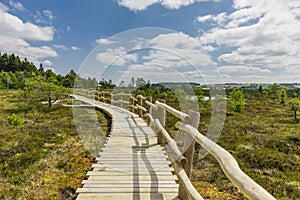 Wooden path through the Black Moor in the RhÃ¶n