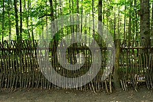 Wooden path and bridge in the forest. Eco trail among boulders and trees on a summer day. The concept of ecology