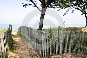 Wooden path coast access with sand beach entrance to ocean atlantic sea in isle oleron island france