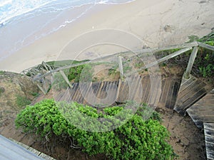 Wooden Path down to Beachfront Wilderness