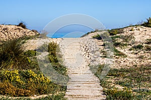 Wooden path through the dunes