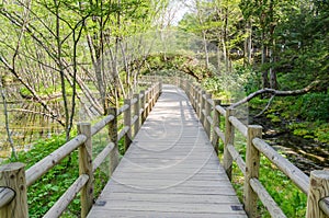 Wooden path and green environment at kamikochi japan
