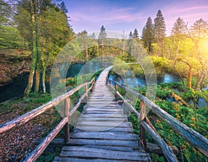 Wooden path in green forest in Plitvice Lakes, Croatia at sunset