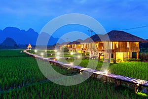 Wooden path and green rice field at night in Vang Vieng, Laos