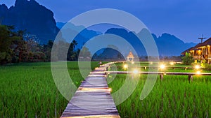 Wooden path and green rice field at night in Vang Vieng, Laos