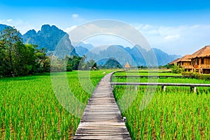 Wooden path and green rice field in Vang Vieng, Laos