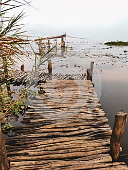 The wooden path jutting out into the water of the lake Thale Noi, Pattalung