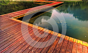 Wooden path by lake