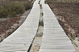 Wooden path leading through dunes at Nagliai nature reserve