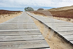 Wooden path leading through dunes at Nagliai nature reserve near Nid