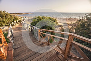 Wooden path leading to the beach #5