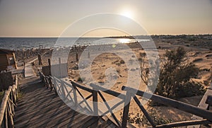 Wooden path leading to the beach #6