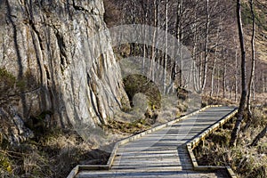 A Wooden Path Leads Past Cliff Face