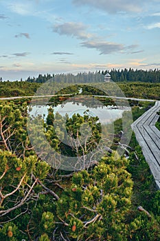 Wooden path at Lovrenska lakes with the tower in the background