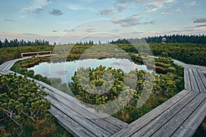 Wooden path at Lovrenska lakes with the tower in the background