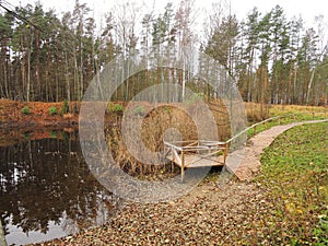 Wooden path near lake