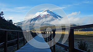 Wooden path near the Limpiopungo lagoon with the Cotopaxi volcano in the background on a cloudy morning