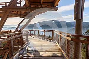 Wooden path of observation tower amogns the trees