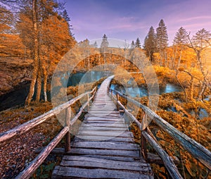 Wooden path in orange forest in Plitvice Lakes, Croatia at sunset