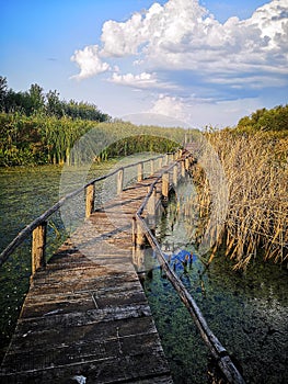 Wooden path over the swamp at sunset