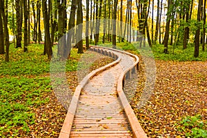 Wooden path in park, selective focus. Walking in fall concept
