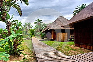 Wooden path runs among tropical chalets