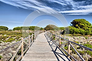 Wooden path on sand dunes close to the sea photo
