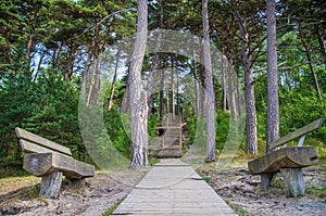 Wooden path and stairs in forest