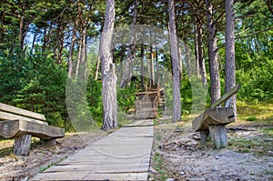 Wooden path, stairs and wooden benches