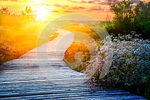 Wooden path at sunset