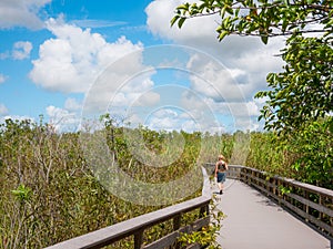 Wooden path on swamp in Everglades, Florida, USA