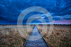 Wooden path through swamp