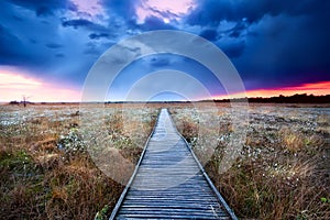 Wooden path on swamp at sunset