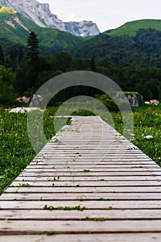 Wooden path to the mountains for tourists. Path for a walk in the woods and mountains