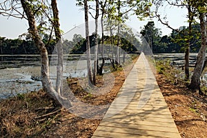 Wooden path towards Neak Pean Temple, Cambodia