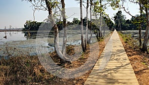 Wooden path towards Neak Pean Temple, Cambodia