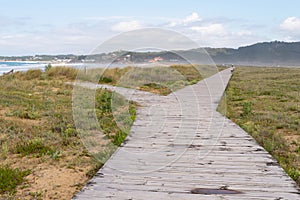 wooden path with two exits, one towards the mountains and the other towards the sea