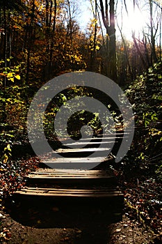 Wooden path and waterfall