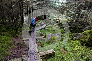 Wooden path in Wicklow way with a excursionist girl