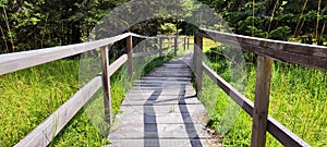 Wooden paths, national park Kopaonik