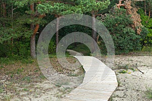 Wooden paths on the sands near Klaipeda city in Lithuania