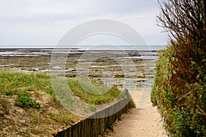 Wooden pathway access to beach sea in oleron island coast Atlantic in france