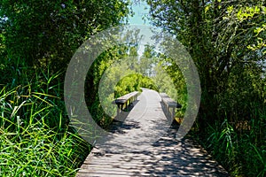 Wooden pathway in the forest with wood bench aside in la test de buch france