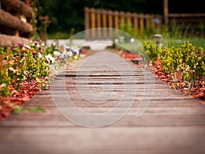 Wooden pathway through garden