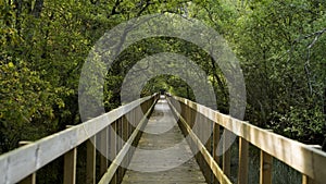 Wooden pathway in Lagoas de Bertiandos photo