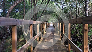 Wooden pathway in Lagoas de Bertiandos photo