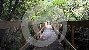 Wooden pathway in Lagoas de Bertiandos photo