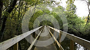 Wooden pathway in Lagoas de Bertiandos photo