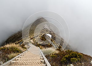Wooden pathway leading through mountain ridgeline shrouded by fog
